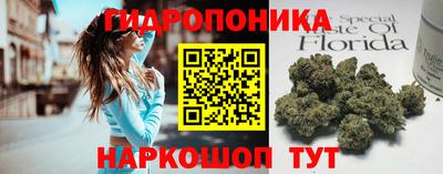 твердый Будённовск