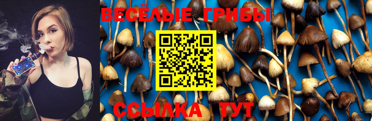 Псилоцибиновые грибы Psilocybine cubensis Кушва