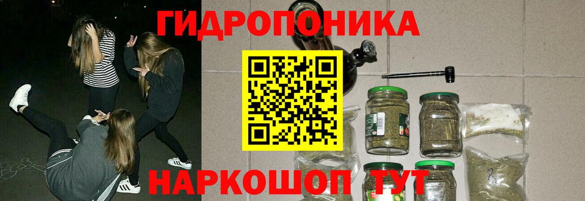 Конопля индика Кушва